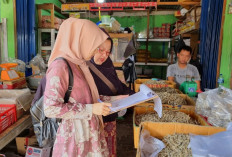 Harga Bahan Pokok Naik Sejak Agustus, Stok Masih Terpenuhi
