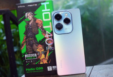 3 HP Android 12/256 GB Harga Rp. 2 Jutaan di 2026