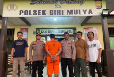 Polsek Giri Mulya Ringkus Pelaku Penipuan