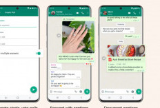 WhatsApp Mulai Sebar Fitur Username, Privasi Naik