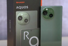 Sharp Aquos R9 Resmi Hadir di Indonesia, Kamera Leica dan Ketahanan Militer Jadi Andalan