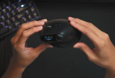 REXUS Clif Pro, Mouse Editing Murah dan Ergonomis