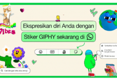 WhatsApp Hadirkan Stiker GIPHY dan AI: Begini Cara Membuatnya Sendiri!