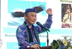 Pesan Kepala BKN untuk Seluruh PPPK Paruh Waktu, Penting!