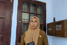 Pendaftaran PPPK 2024 Tahap II, Pelamar Diminta Fokus Membaca Persyaratan