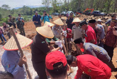 Replanting Sawit Bengkulu Utara, 1.052 Hektare Antre Realisasi