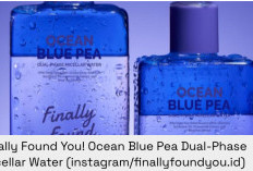 Rekomendasi Micellar Water yang Aman Buat Bumil dan Busui