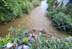 DLH Gandeng Dinas PMD untuk Tekan Kebiasaan Buang Sampah ke Sungai