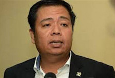 Legislator: Pesawat Ditembaki Menunjukkan Lemahnya Pengamanan Objek Vital