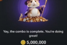 5 Juta Koin Menanti! Daily Combo Hamster Kombat 12 Juli