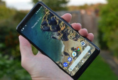 Google Pixel 2, Hape Lawas yang Tahan Lama dan Tetap Menyenangkan di Tahun 2025