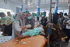 Dugaan Keracunan MBG Lebong, Gubernur Bengkulu Helmi Hasan Minta Pihak Berwenang Segera Lakukan Penyelidikan