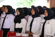 PPPK Orang-orang Terpilih, Memperoleh Hak dan Fasilitas sebagai ASN