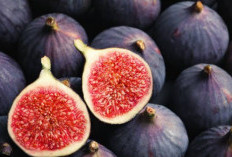 Manfaat Buah Fig dari Korea Sekarang Ada dalam Skincare!
