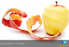 7 Manfaat Makan Apel Setiap Hari, Kanker Bakalan Ogah Menyerang