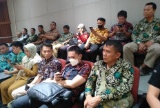 Info Terbaru Jadwal Seleksi CPNS 2024 & PPPK, Honorer Bodong Bakal Gemetar