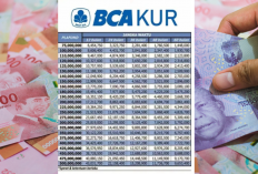 Tabel KUR BCA 2026 Pinjaman Rp100 Juta, Simak Cicilan, Syarat, dan Cara Pengajuan