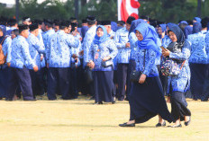 Terungkap Alasan Honorer Resmi jadi PPPK Paruh Waktu 1 Januari 2026, Bukan soal Anggaran
