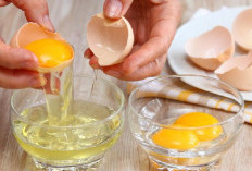 Ini Deretan Makanan Terbaik untuk Jaga Fungsi Ginjal, Bisa Cegah Cuci Darah