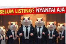 Mengapa Hamster Kombat Belum Listing? Tiga Faktor Kunci yang Harus Diketahui