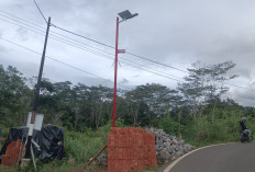 Dugaan Mark Up LPJU, Pjs Kades Pelabai Bereaksi