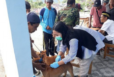 Ada Ribuan HPR Belum Divaksin, Stok Malah Menipis
