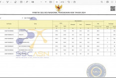 Pengumuman Hasil Seleksi PPPK Guru Tahap 2, Peserta Kode R5 Jangan Kaget ya