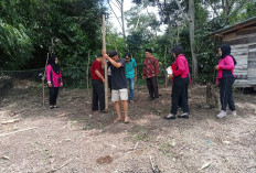 Dukung Ketahanan Pangan, Polsek Lebong Tengah Tanam Jagung Serentak