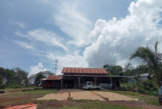 Kecamatan Lebong Tengah Instruksikan Desa Data Penggilingan Padi