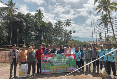 Pemdes Suka Damai Tanam Jagung Dukung Ketahanan Pangan Lewat Program Sadesahe
