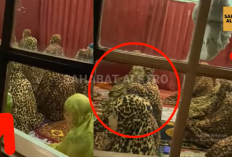 Viral Video di Medsos, Ibu-Ibu Kompak Pakai Mukena Macan Tutul saat Tarawih   