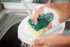 Bahaya Spons Cuci Piring yang Jarang Diganti: Sarang Bakteri di Dapur Anda