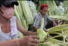 Cara Membuat Ketupat yang Baik dan Benar, Anti Gagal