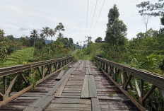 Warga Desa Mangkurajo Minta Jembatan Kayu Diganti dengan Konstruksi Permanen