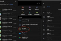 Cara Backup Foto agar Aman Saat Kartu Memori Rusak