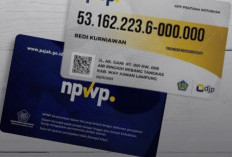 Lupa Nomor NPWP? Ini Cara Cek NPWP Dengan Mudah