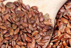 Bahaya Biji Rami, Tingkatkan Risiko Penyakit Ini Pada Wanita