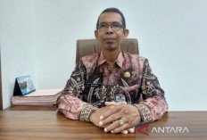 1.230 CPNS & PPPK Bakal Dilantik Langsung oleh Gubernur Muhidin