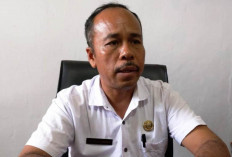 Program Replanting Kelapa Sawit di Bengkulu Utara 85 Hektare