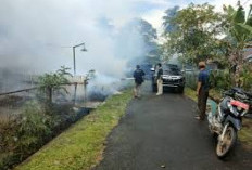 Kasus DBD Menurun, Dinkes Tetap Imbau Warga Waspada