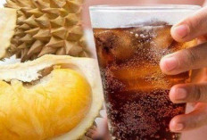 Benarkah Makan Durian dan Minum Soda Bisa Berbahaya?