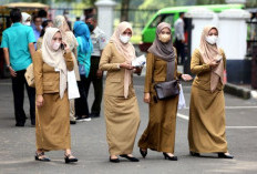 Kabar Gembira Lagi untuk PPPK dan P3K PW, Alhamdulillah