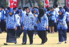Terbit SE Petunjuk Teknis Pengusulan Pemberhentian PNS, PPPK, P3K PW Periode 2026 2027
