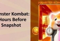 Hamster Kombat Catat Prestasi Pemain, Snapshot Hari Ini Tentukan Alokasi Token HMSTR