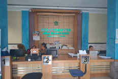 Tak Hanya Retribusi Parkir, PBBP2 2025 Tak Capai Target  