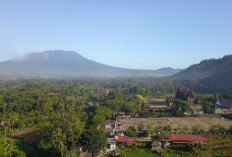 Astaga! 5 Nagari di Tanah Datar Jadi Pusat Peredaran Narkoba