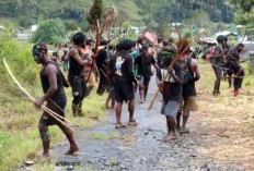 12 Orang Tewas dalam Bentrok Pilkada Puncak Jaya, KKB Terlibat