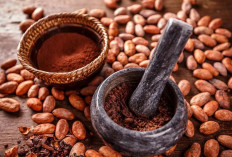 Kakao Bisa Mengurangi Manfaat Obat Ini, Wajib Dihindari 