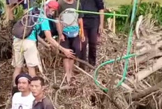 Pemdes dan Warga Teluk Dien Gotong Royong Perbaiki Jembatan Putus Akibat Banjir