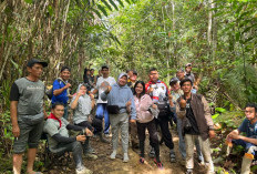 Bangun Jalan Cor Rabat Beton Menuju Desa Sungai Lisai